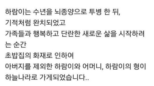 신이 없는이유 | 인스티즈