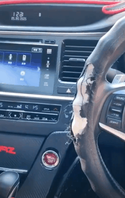 핸들 물어뜯고 눈치 보는 골든 리트리버 댕댕이.gif | 인스티즈