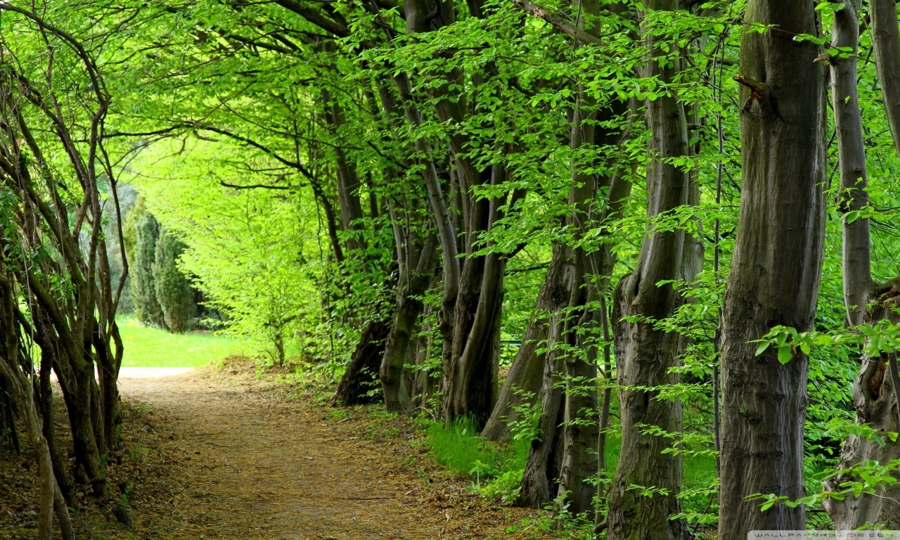 여름 좋아하시는 분 모이세요 | 인스티즈