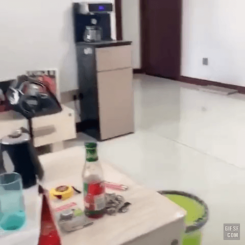 고양이가 고양이를 보고 놀라는 짤 | 인스티즈