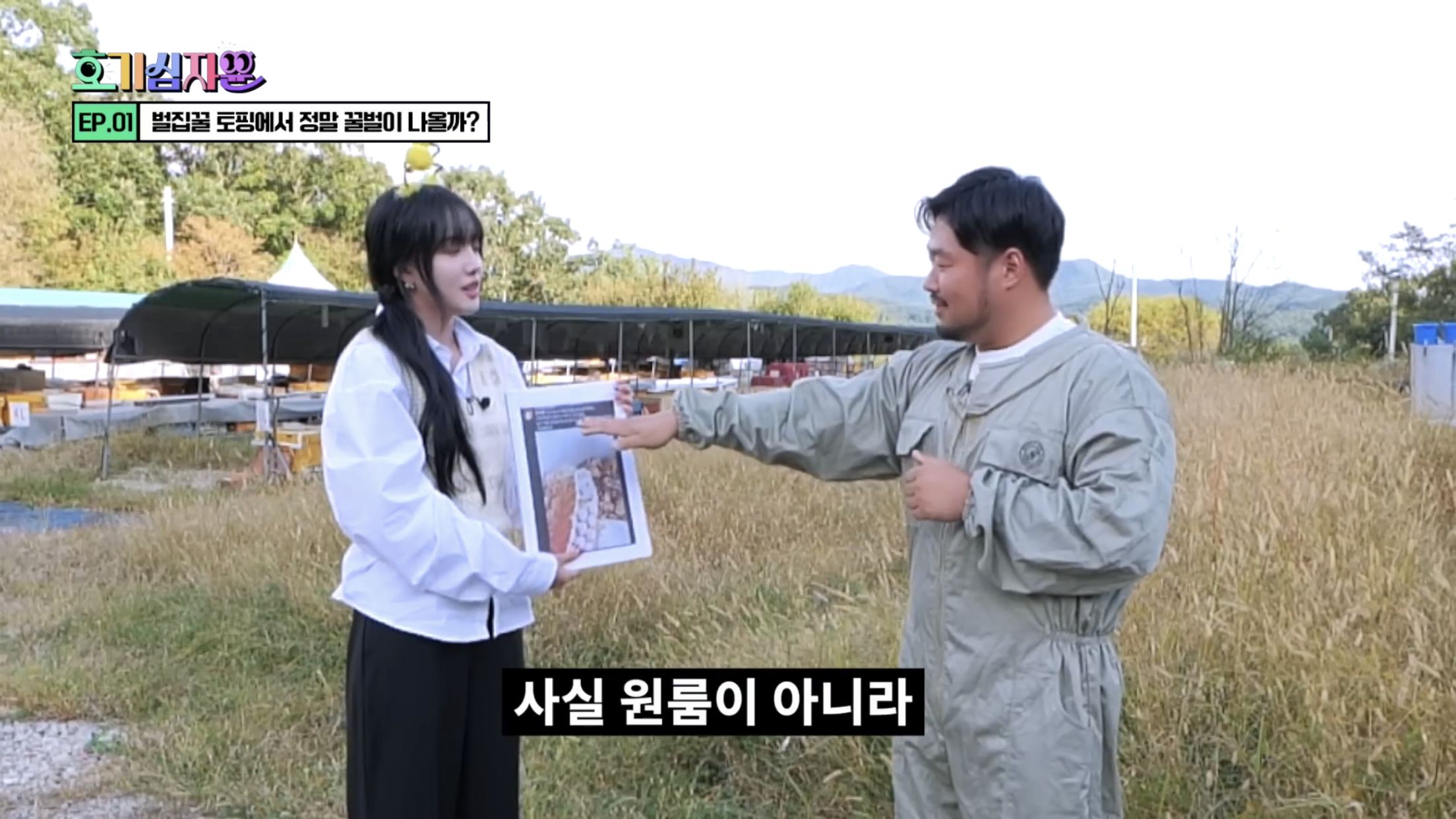 요거트 아이스크림 벌집꿀에서 나오는 벌의 정체............jpg | 인스티즈