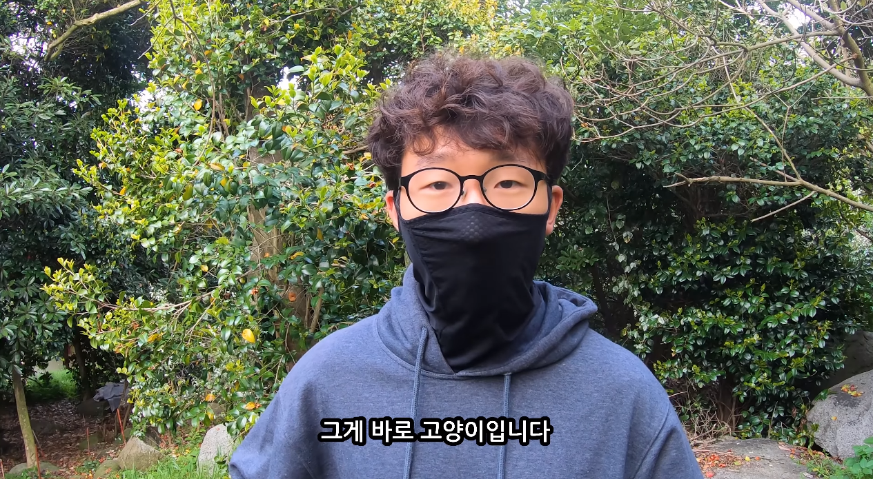 일부 몰지각한 캣맘들은 이 악물고 모른척하는 내용.jpg | 인스티즈