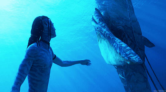 3900b11e76018e5012d3faf05aff94a4fce6909d