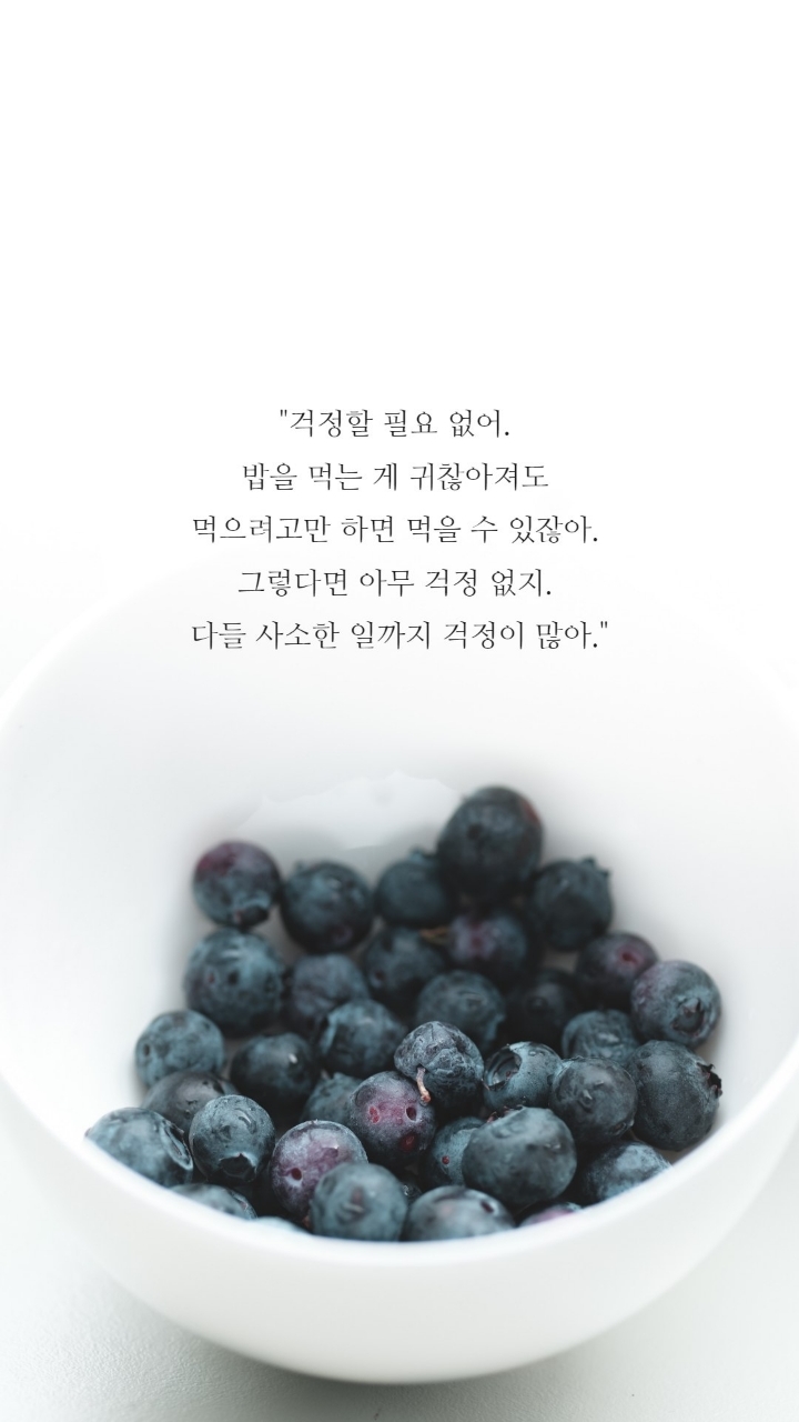 보노보노 명대사 | 인스티즈