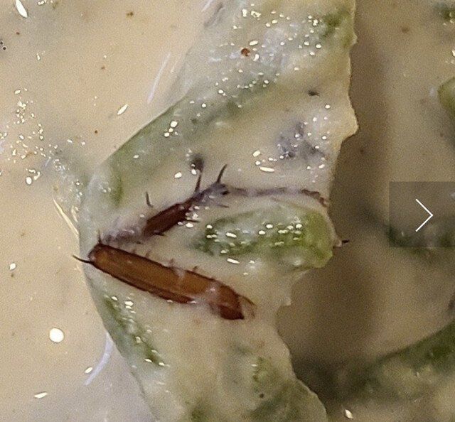 서울에 있는 유명 맛집 리뷰 근황.jpg ㅎㅇㅈㅇ | 인스티즈