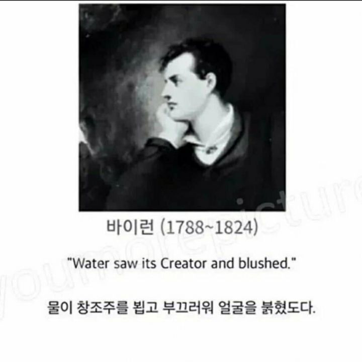 문과가 세상을 지배하는 이유 | 인스티즈