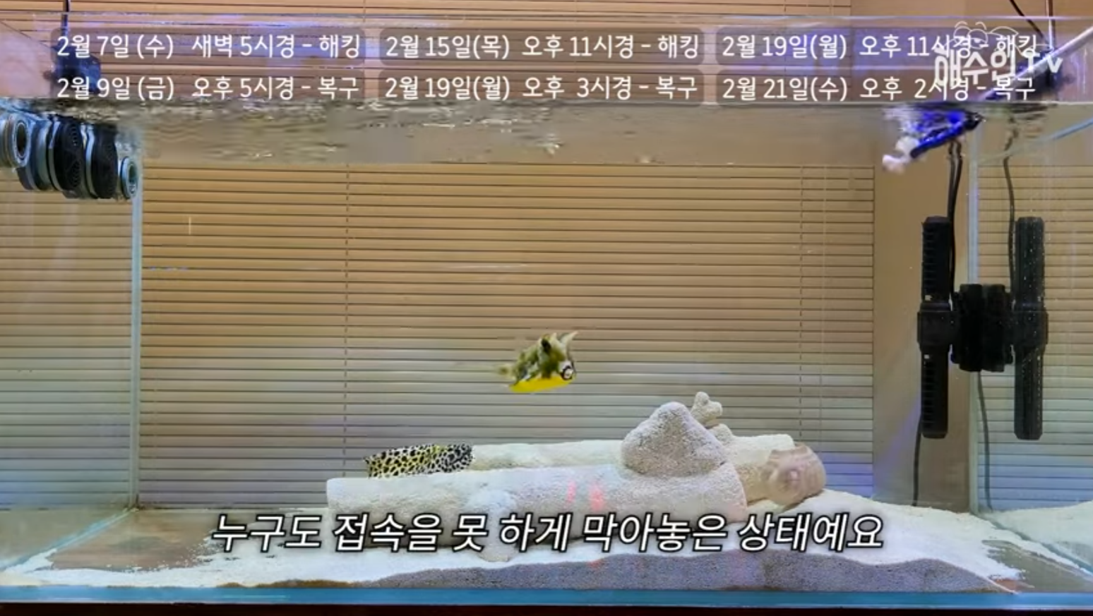 유튜브 계정이 3번이나 해킹 당한 이유 | 인스티즈