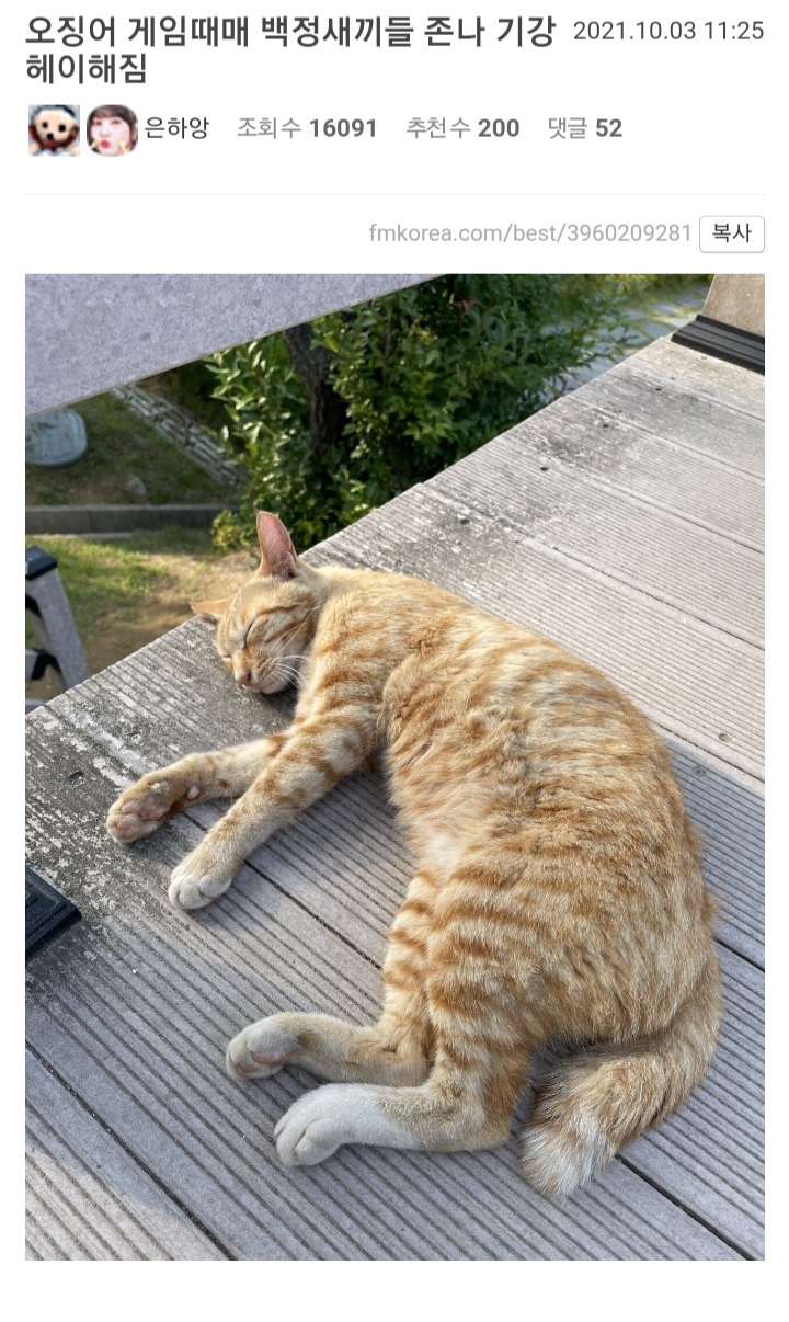 오징어게임 때문에 고통 받는 미드라이너.jpg | 인스티즈