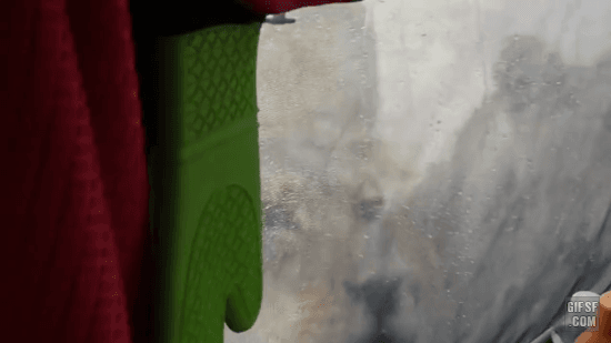 텐트에 찾아온 고양이들.gif | 인스티즈