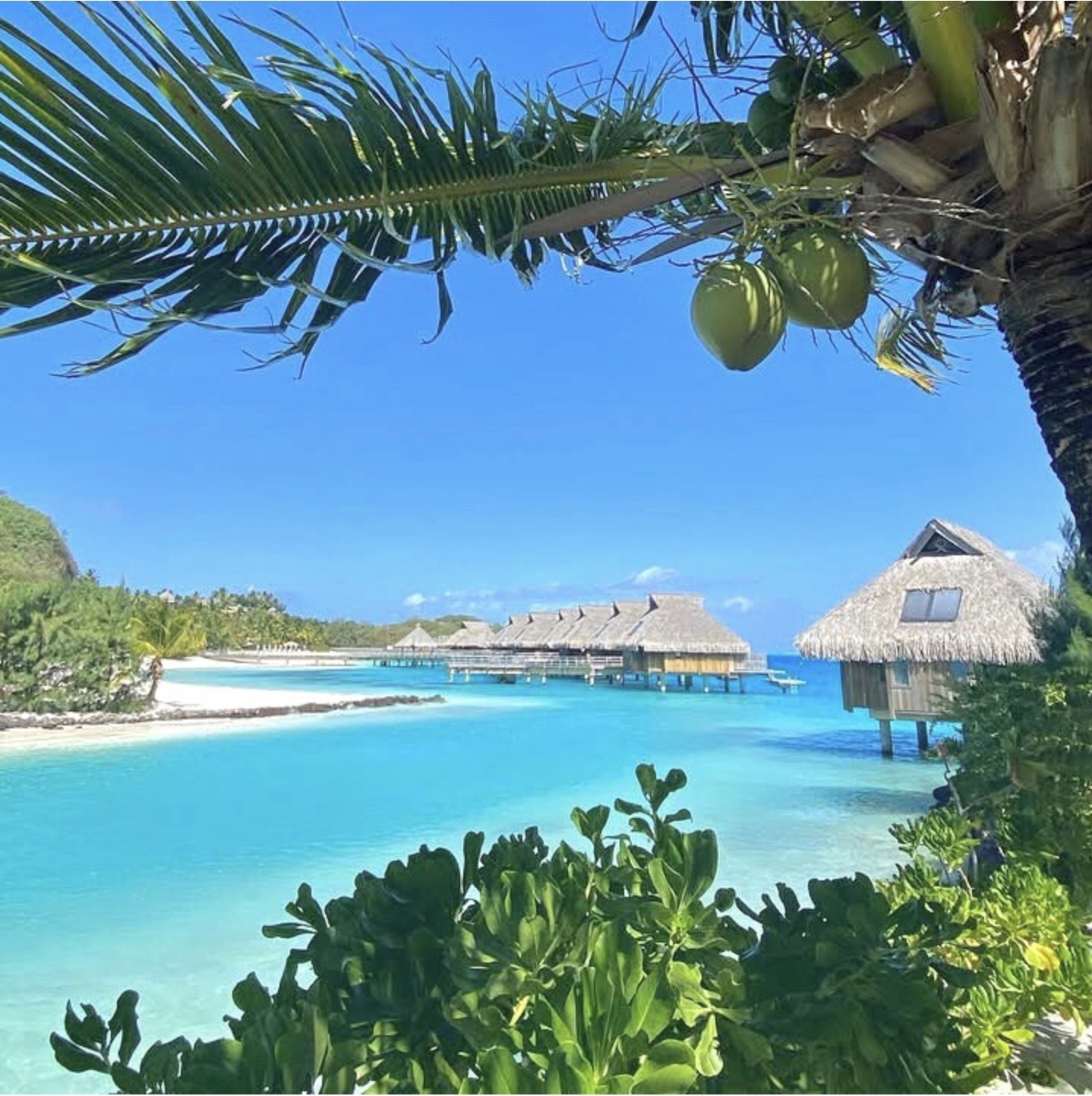 프랑스령 타히티 보라보라섬.jpg | 인스티즈