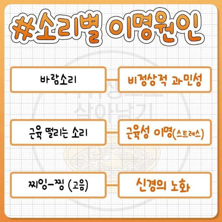 귀에서 나는 소리별 이명 원인.JPG | 인스티즈