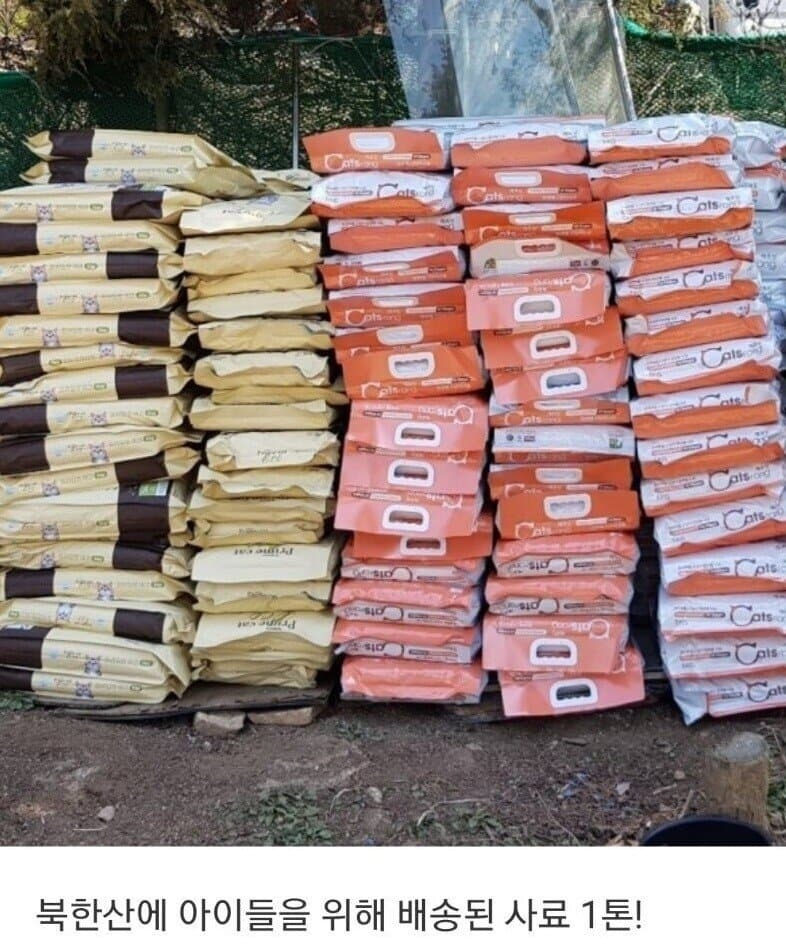 북한산 고양이사료 1톤 | 인스티즈