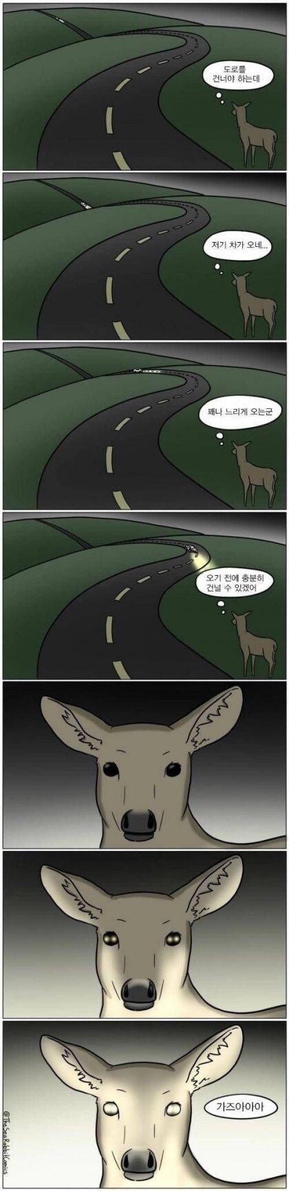 주식하는사람들 성향 및 특징 | 인스티즈