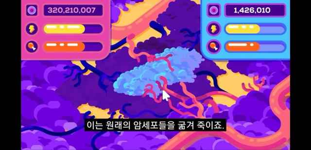 고래나 코끼리가 암으로 죽지 않는 이유 | 인스티즈