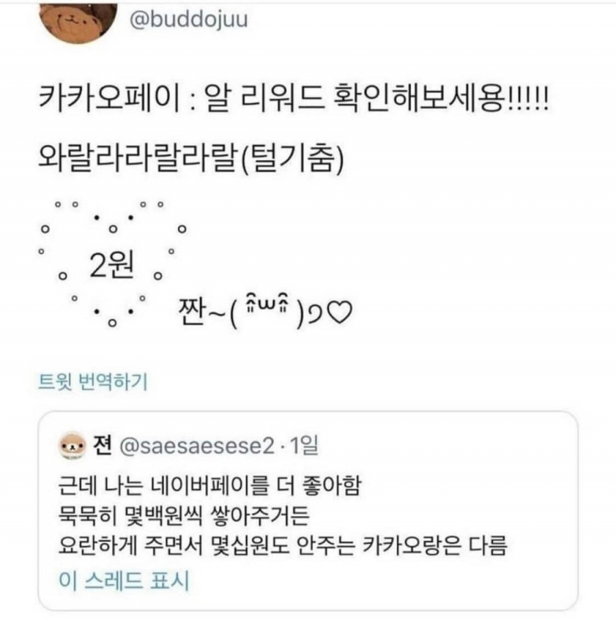 카카오페이와 네이버페이의 차이 | 인스티즈