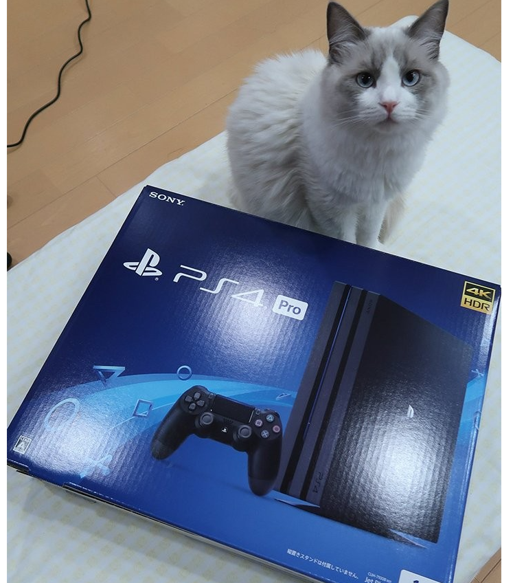 부모도 몰랐던 5살 딸의 재능..gif | 인스티즈