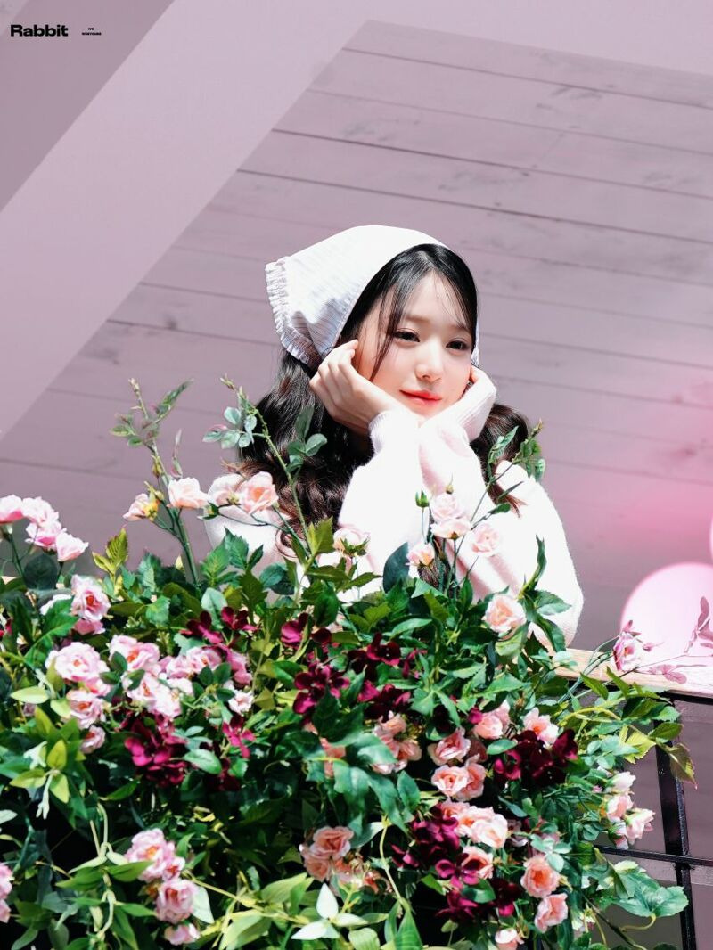 장원영 다라이 근황 | 인스티즈