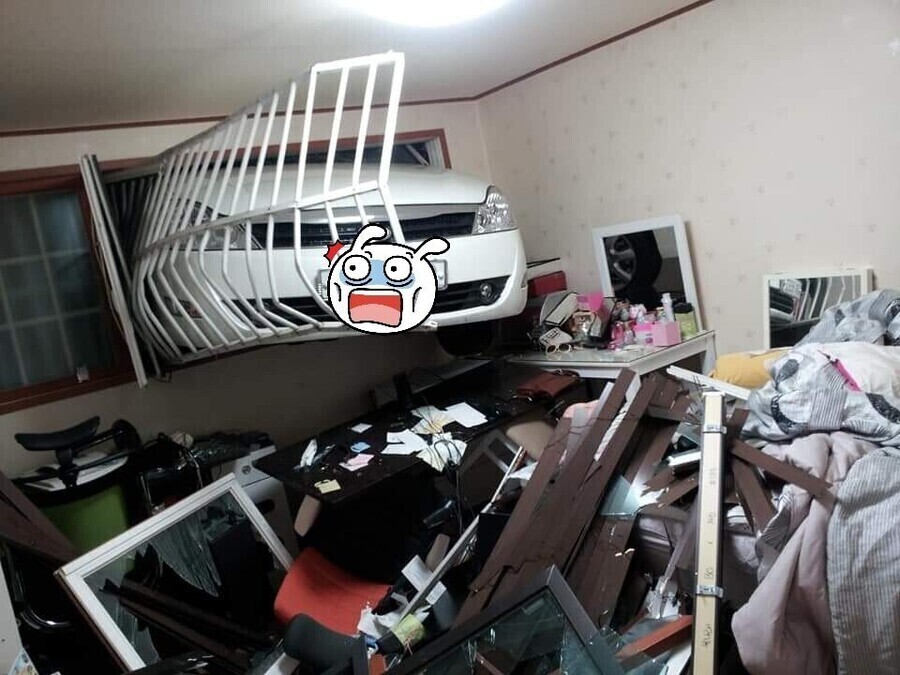 반지하 살면 안좋은 이유 ㄷㄷ | 인스티즈