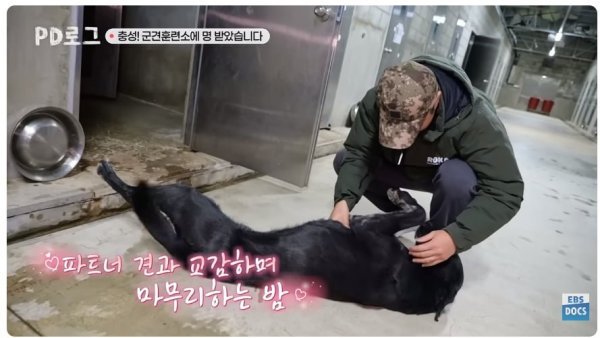 육군에서 보급중인 솜패딩 .jpg | 인스티즈