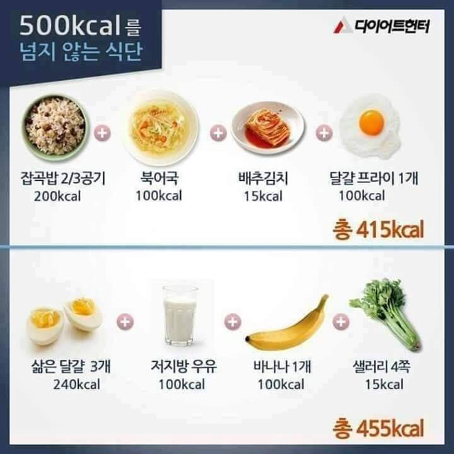 500칼로리를 넘지 않는다는 식단 | 인스티즈