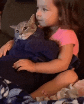 딸에게 잡힌 고양이 | 인스티즈