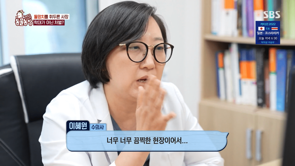 현재 난리난 동물농장에 나온 동물카페 사장.jpg | 인스티즈