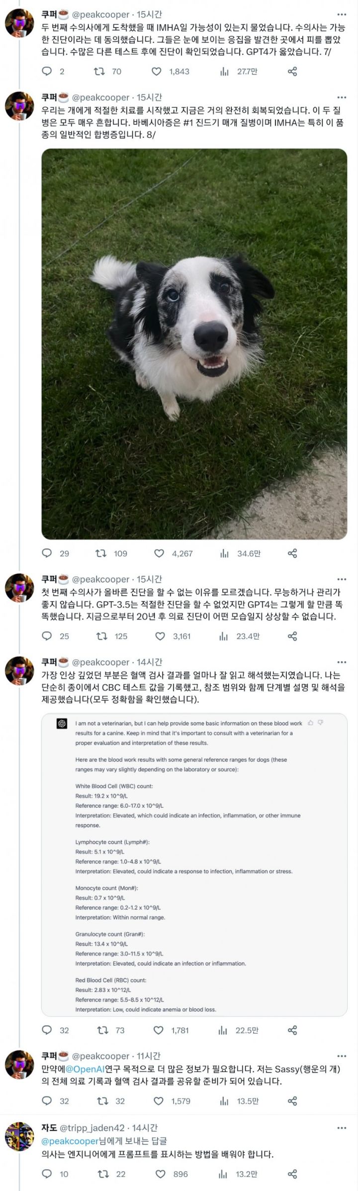 gpt4 덕분에 댕댕이 치료 잘 받은 썰 | 인스티즈