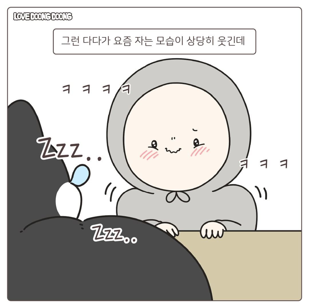 창틀에 낑겨서 자는 고양이.jpg | 인스티즈