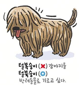 의외로 틀린 표현인 단어 | 인스티즈