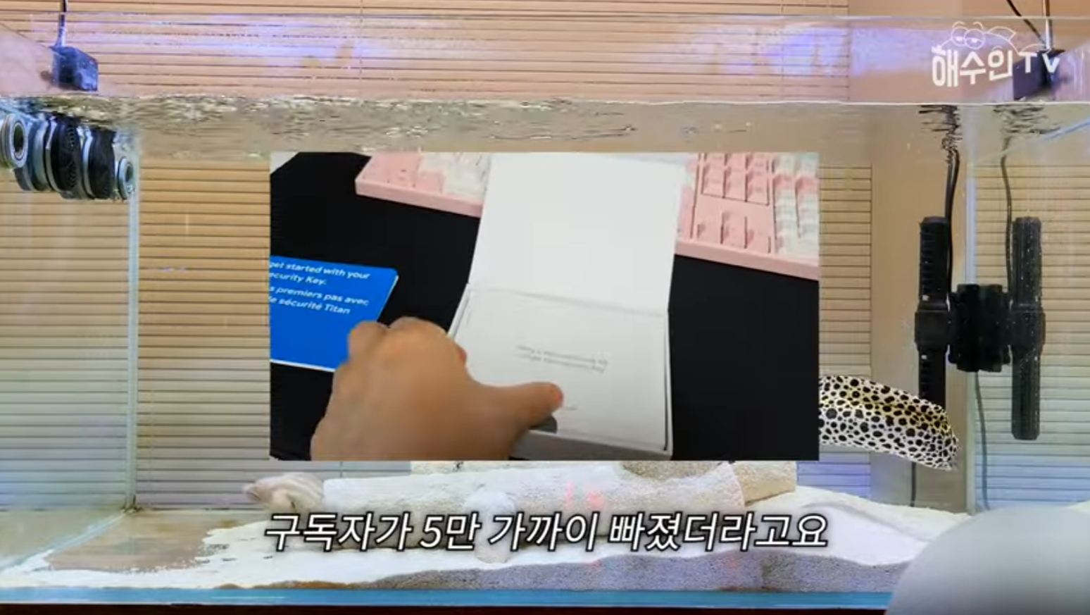 유튜브 계정이 3번이나 해킹 당한 이유 | 인스티즈