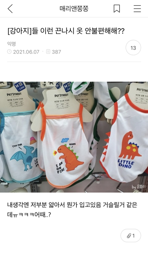 어제 동물병원 갔는데 옆테 다른 견주분이 몇살이냐고 물어보길래 26살이라고 대답했거든..? | 인스티즈