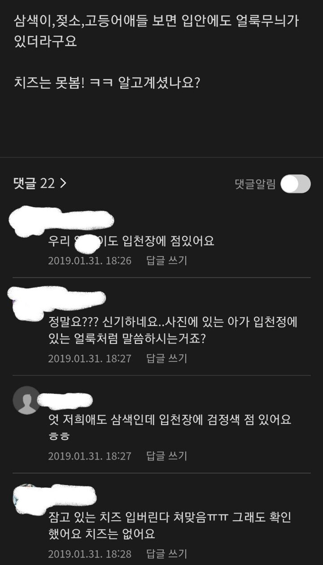 고양이는 입 안에도 얼룩무늬 있음.jpg | 인스티즈