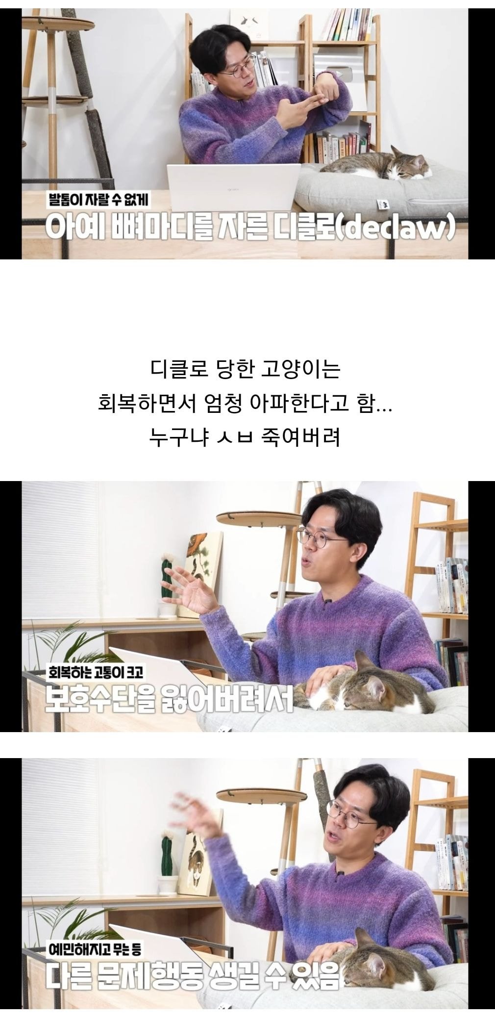 유명 연예인이 키우는 고양이 보고 충격먹었다는 수의사 유튜버 ....jpg | 인스티즈
