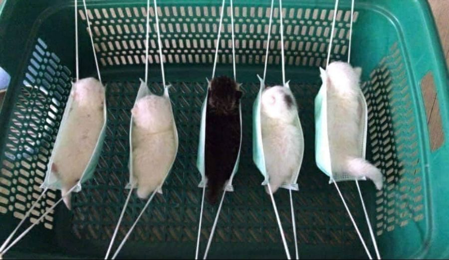 꿀잠 자는 아이들 | 인스티즈