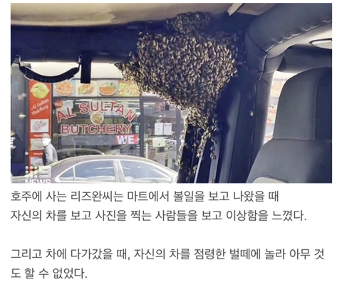 길에 돈이 떨어져있다고ㅋㅋㅋ.gif | 인스티즈