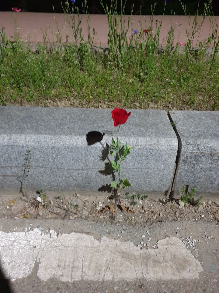 나의 사춘기에게 | 인스티즈