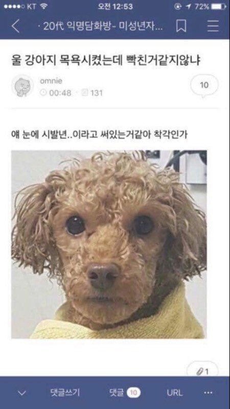 당면 이거 양 많냐(스압) | 인스티즈