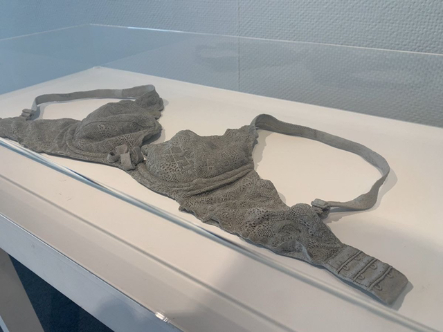 슬쩍 보고 지나친다는 전시물 | 인스티즈