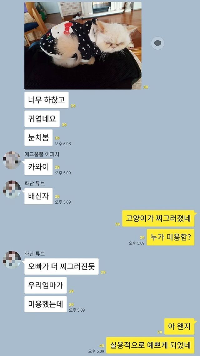 카톡 탈룰라 모음.jpgif | 인스티즈