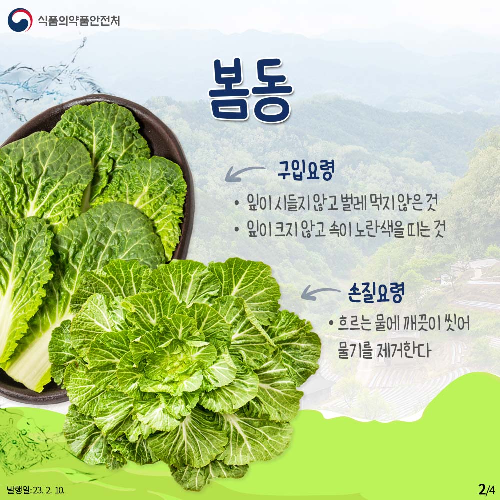 요즘 먹어줘야 하는 진짜 맛있는 제철 식재료..JPG | 인스티즈