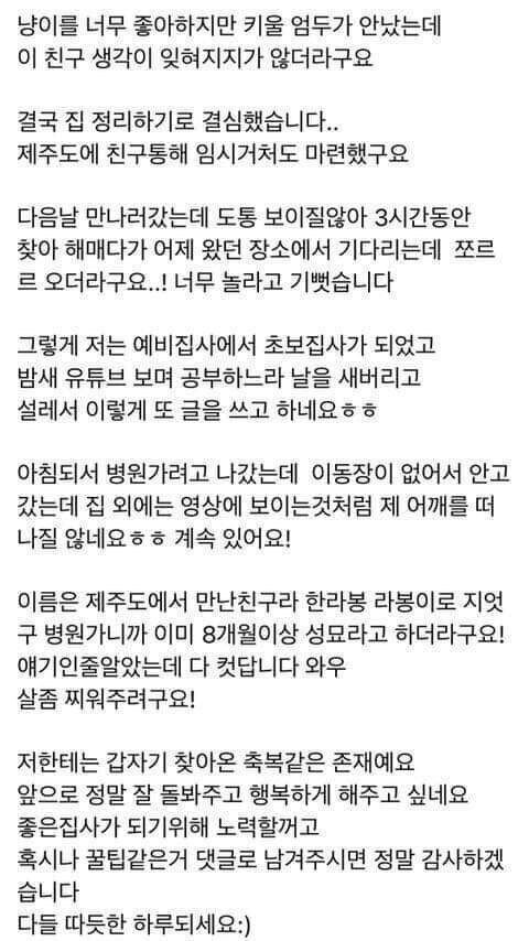 모르는 고양이한테 박치기 당한 사람.jpg | 인스티즈