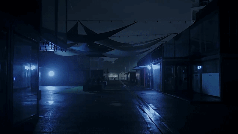 한 유튜버가 촬영하면서 정말 무서웠다는 새벽 2시 서울숲 풍경 | 인스티즈