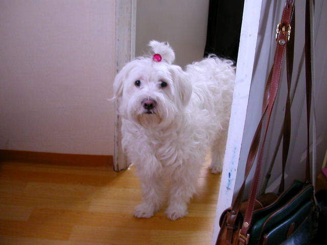 3e3bc38cc395a7bfa8d3939f85b3e09c8542806d