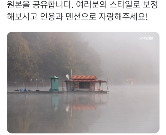 트위터에서 인기있는 호수편집 | 인스티즈