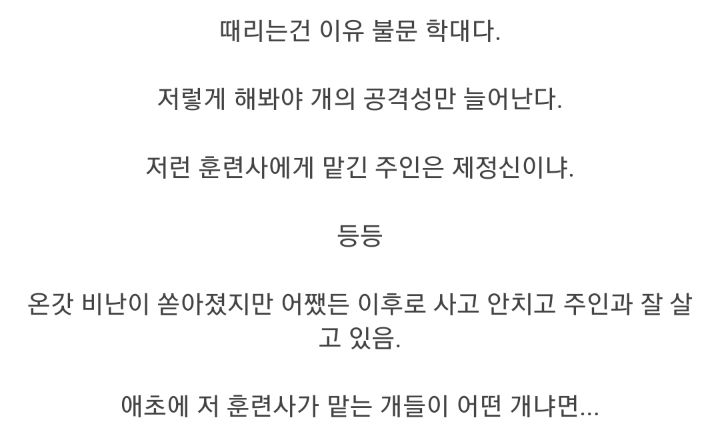 폭행 훈육 시바견 근황 | 인스티즈