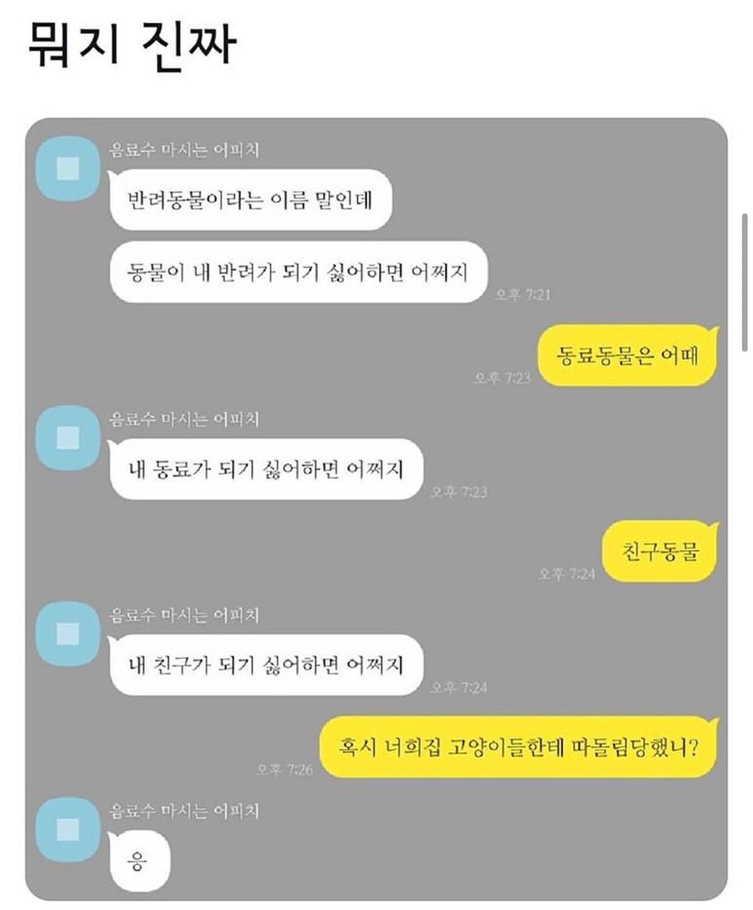 반려동물의 의의에 의문을 가진 친구 | 인스티즈
