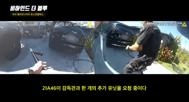 핏불이 사람 위협..빈백 샷건 갈겨버린 미국 경찰 | 인스티즈