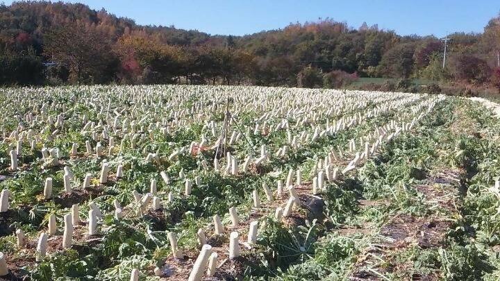 택배 상하차보다 힘들고 노가다 아저씨들도 안한다는 알바 | 인스티즈