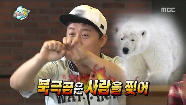 북극곰은 사람을 찢어!!!.gif | 인스티즈