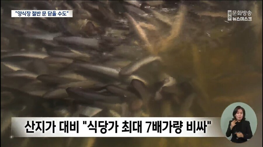 현재 난리났다는 장어값 역대급 대폭락 도산위기 근황 | 인스티즈